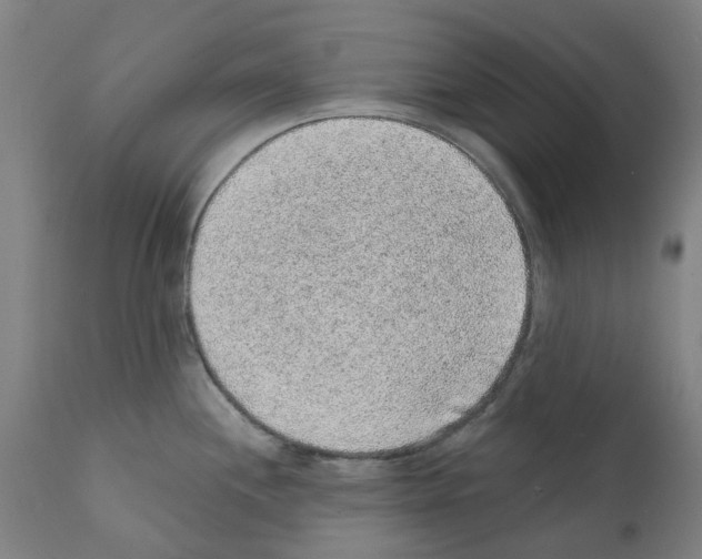 X0000112381244200909241207