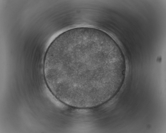 X0000112381246200909241207