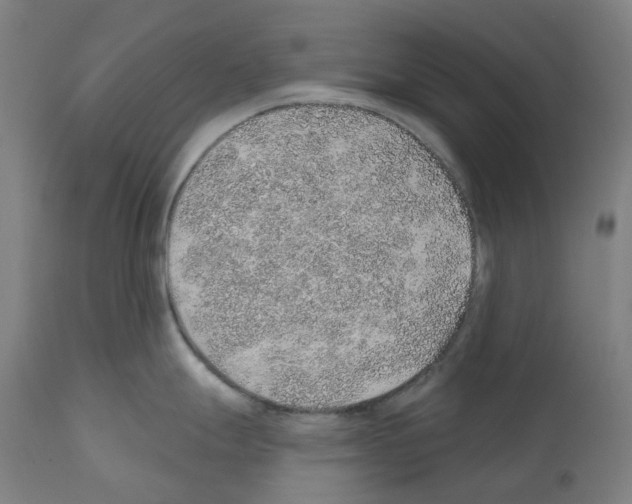 X0000112381247200909241207