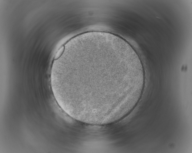 X0000112381248200909241207