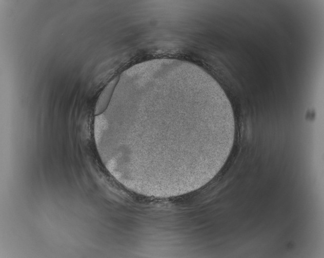 X0000112381250200909241206