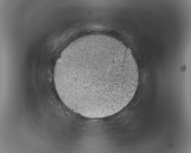 X0000112381253200909241206