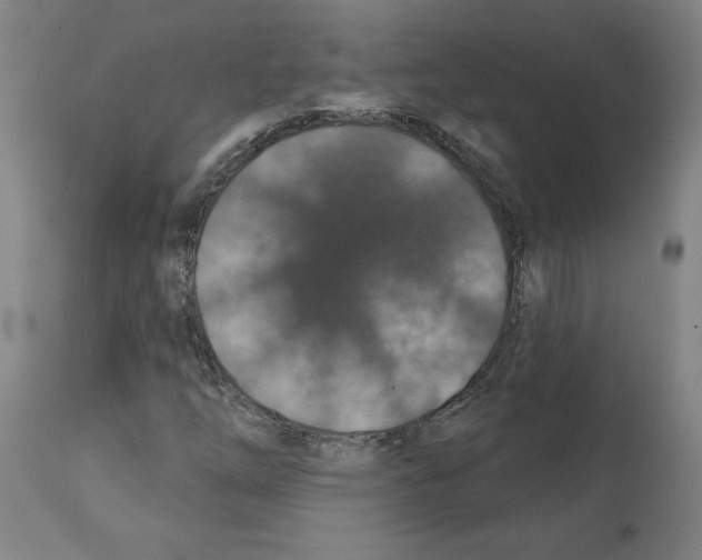 X0000112381254200909241206