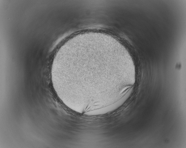 X0000112381256200909241206