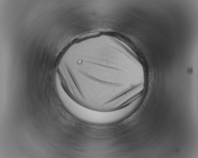 X0000112381257200909241206