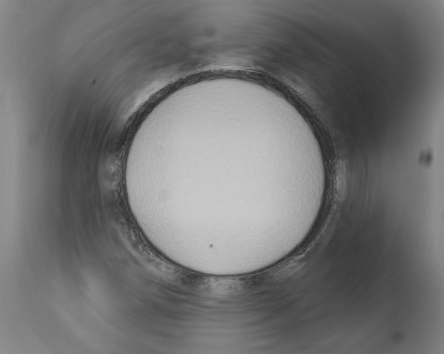 X0000112381258200909241206