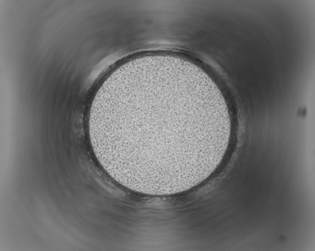 X0000112381259200909241206