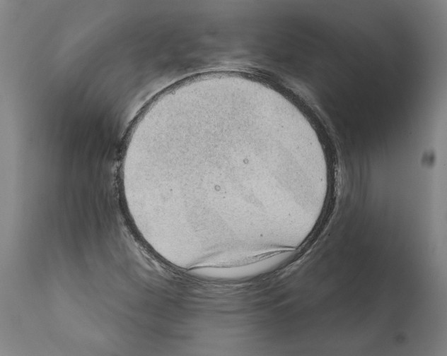 X0000112381260200909241206