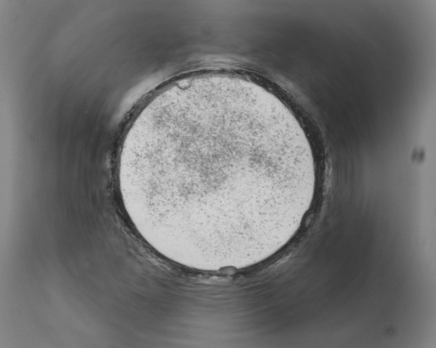 X0000112381261200909241206