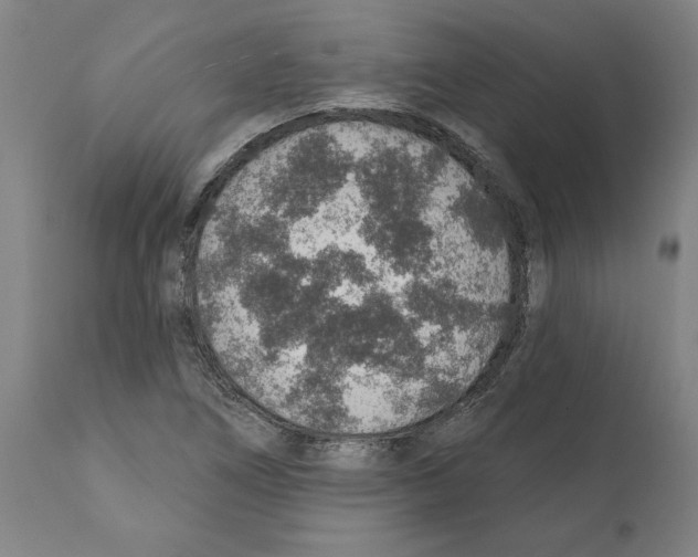 X0000112381266200909241206