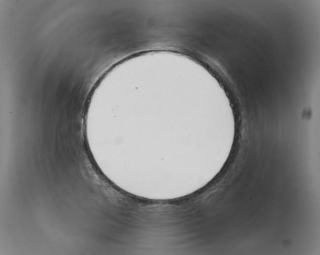 X0000112381268200909241206