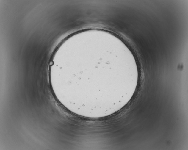 X0000112381272200909241206