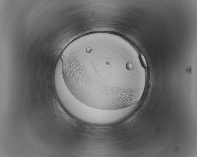 X0000112381273200909241206