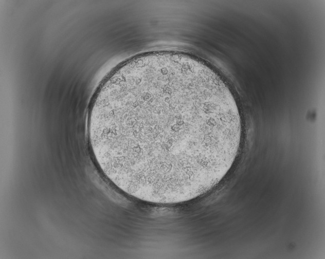 X0000112381275200909241206