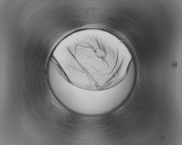 X0000112381276200909241206