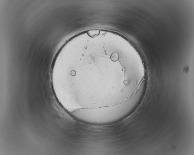 X0000112381280200909241206