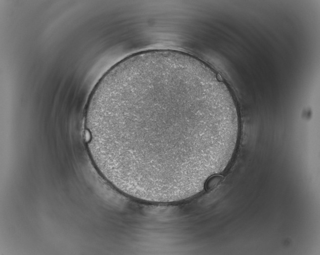 X0000112381284200909241206