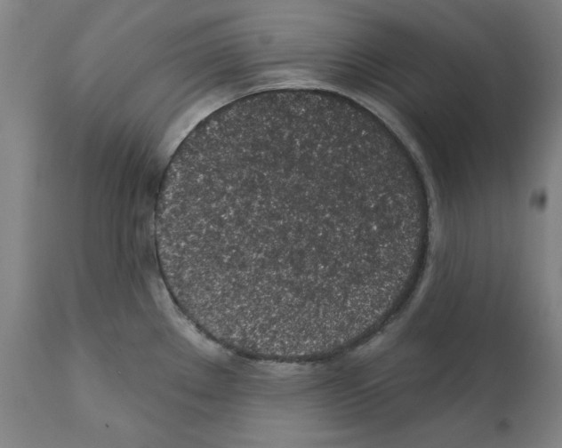 X0000112381289200909241206