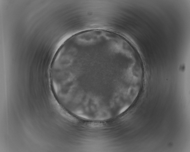 X0000112381291200909241206