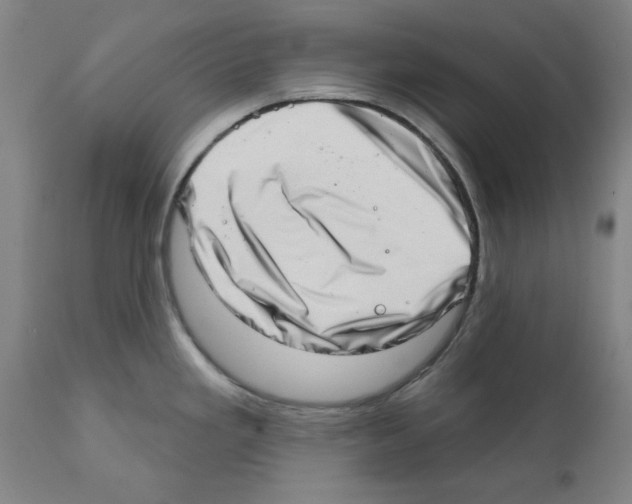 X0000112381293200909241205