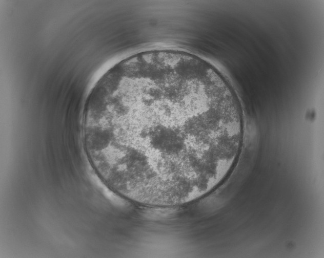 X0000112381294200909241205