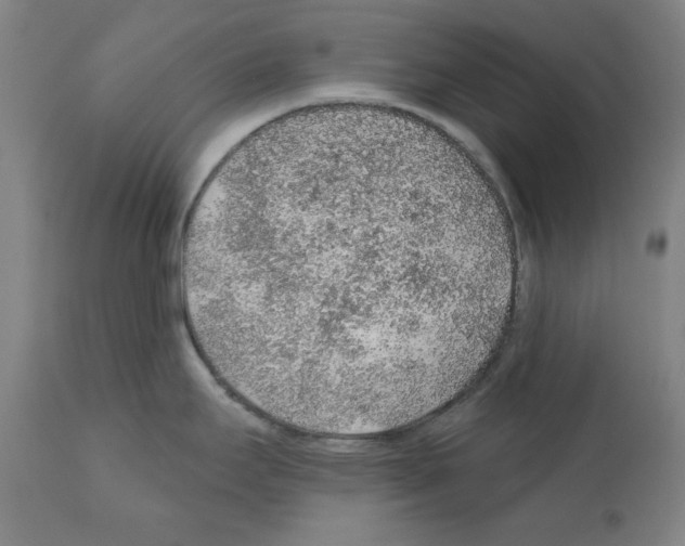 X0000112381295200909241205