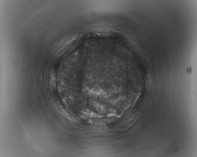 X0000112381298200909241205