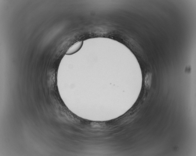 X0000112381299200909241205