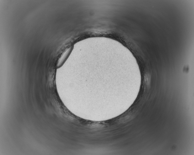 X0000112381300200909241205