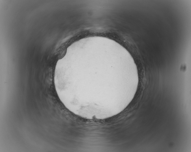 X0000112381301200909241205