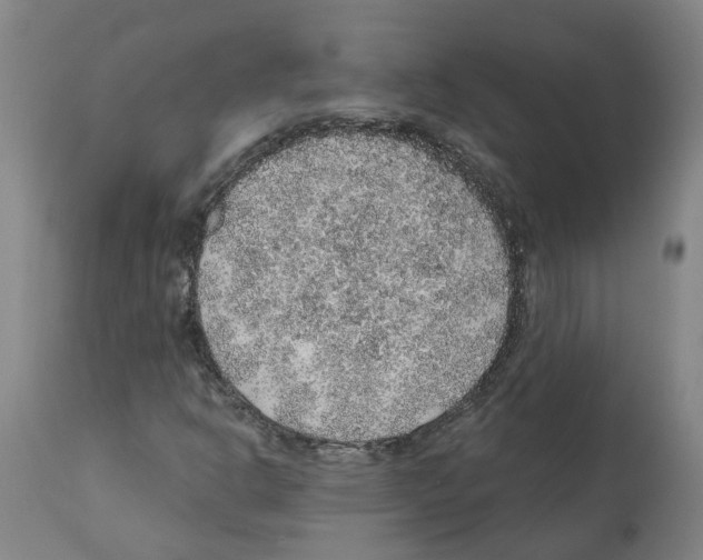 X0000112381302200909241205