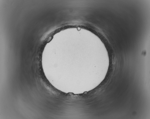 X0000112381304200909241205