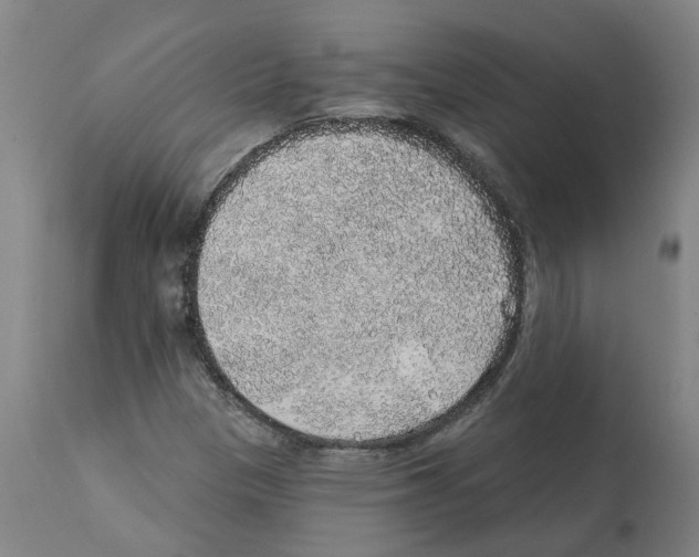 X0000112381305200909241205