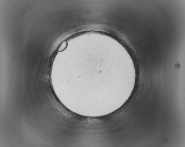 X0000112381312200909241205