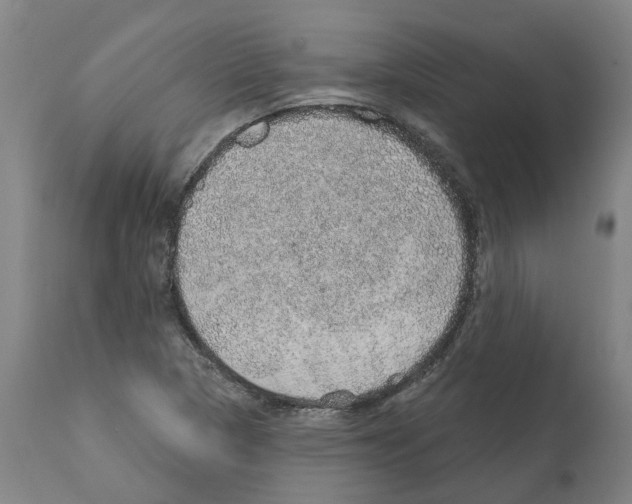 X0000112381313200909241205