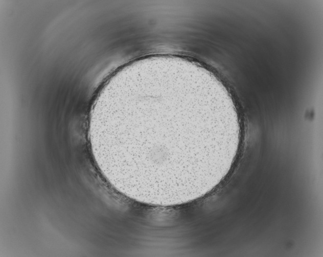 X0000112381314200909241205