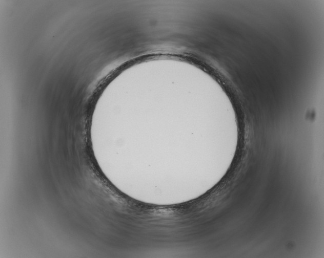 X0000112381315200909241205