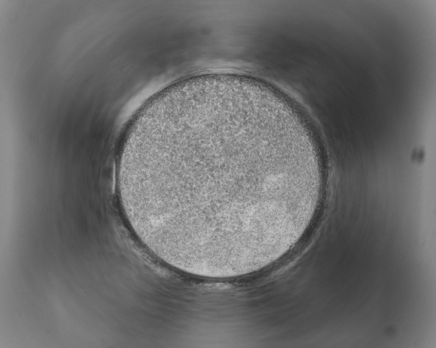 X0000112381317200909241205