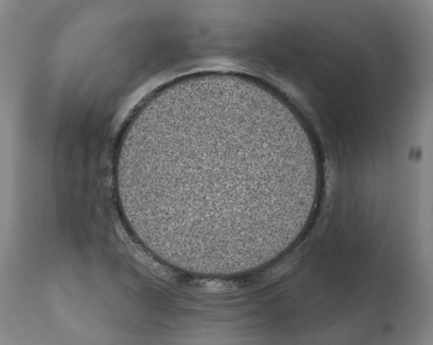 X0000112381318200909241205