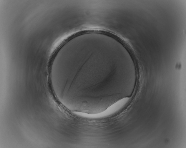 X0000112381319200909241205