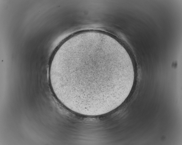 X0000112381320200909241205