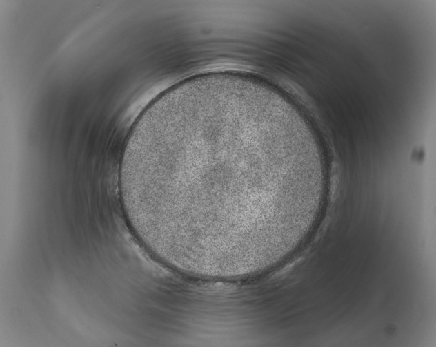 X0000112381321200909241205