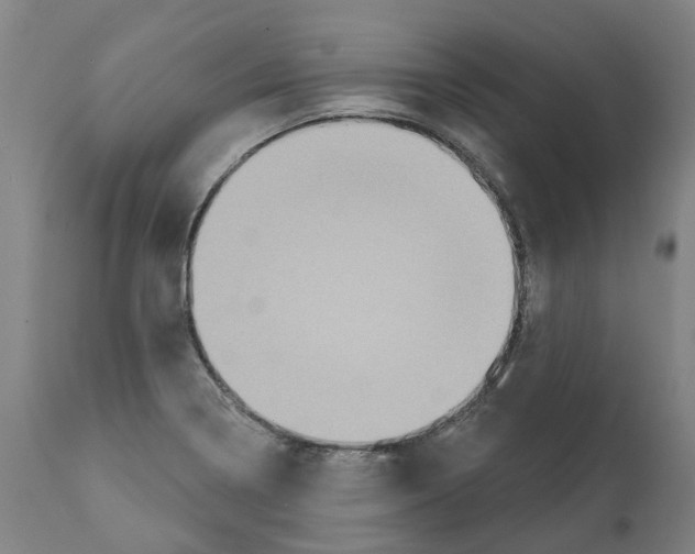 X0000112381322200909241205