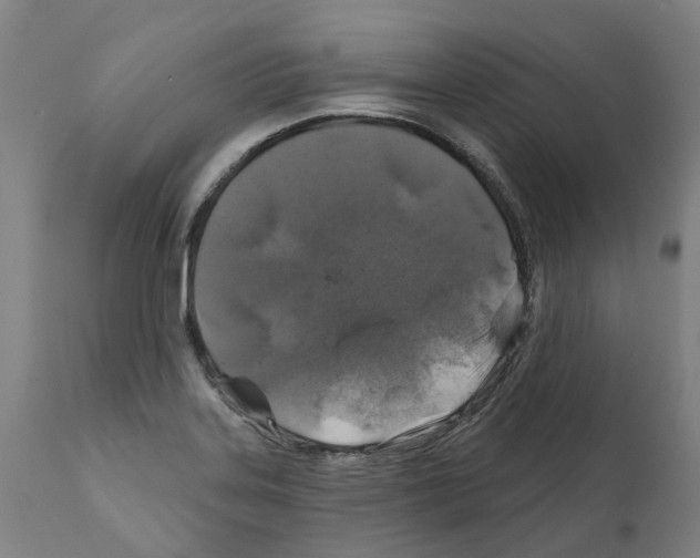 X0000112381323200909241205