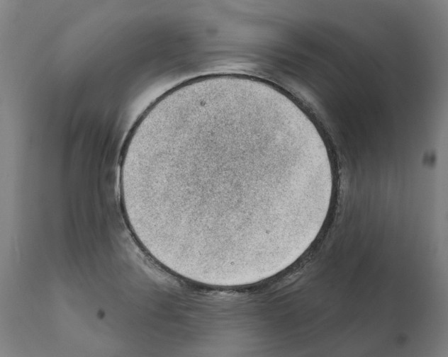 X0000112381324200909241205