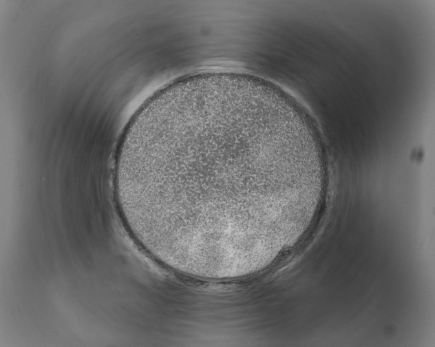 X0000112381325200909241205