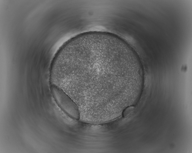 X0000112381326200909241205