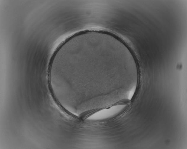 X0000112381327200909241205