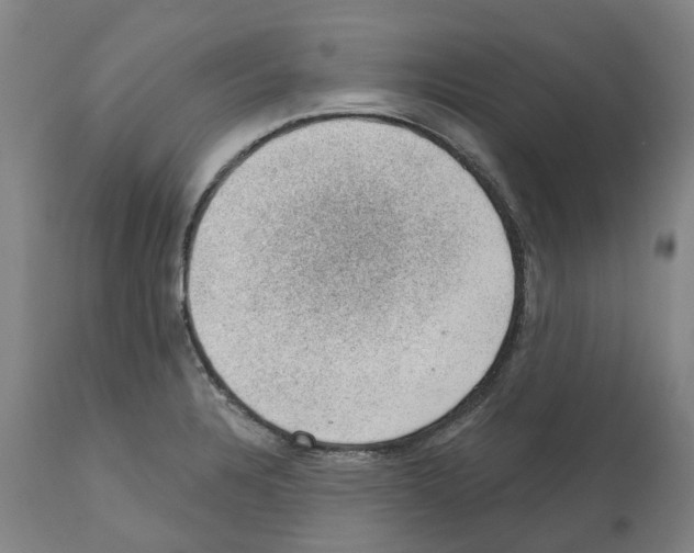 X0000112381328200909241205