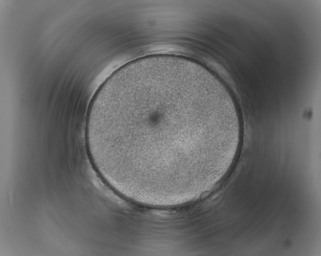 X0000112381330200909241205